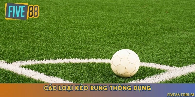 Tổng hợp các loại kèo rung thường gặp trong cá cược bóng đá