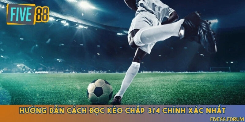 Đọc kèo 3/4 qua ví dụ minh họa và hướng dẫn tận tình