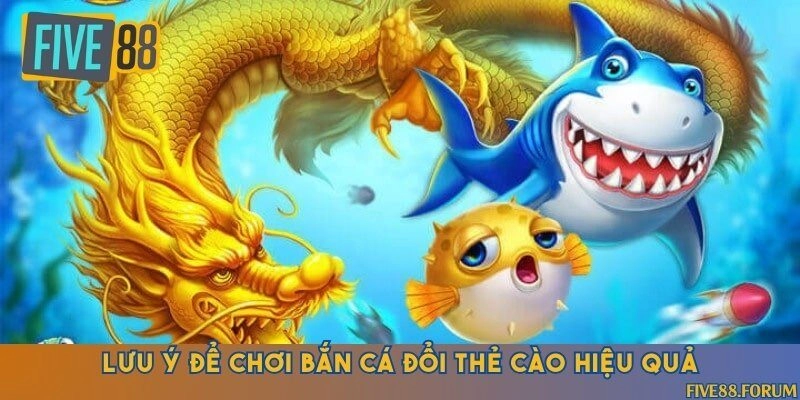 Xem kỹ quy tắc đổi thưởng trước khi chơi để tránh gặp rủi ro