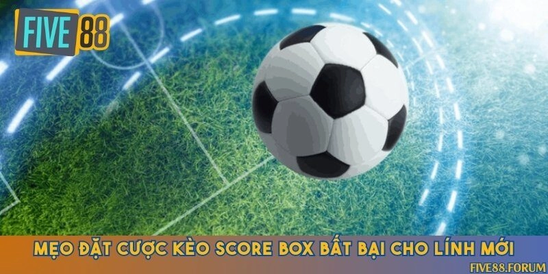 Kinh nghiệm cược cực đỉnh được truyền từ người chơi lâu năm
