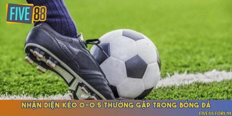 Các loại kèo 0/0.5 thường gặp với tỷ lệ thắng ấn tượng